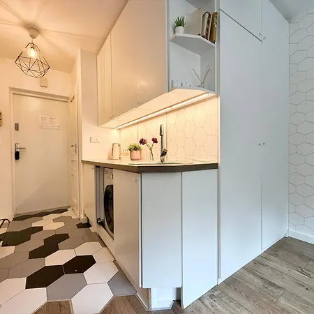 Lesne - Acco Rent 소포트